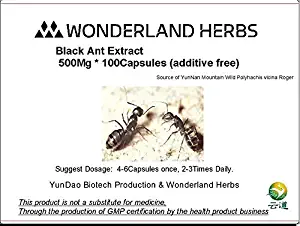 Wonderland Herbs UNADULTERATED RAW Wild Mountain Ant/Polyrhachis Vicina Extract 100 Capsules x 400Mg, Formic Acid≥1.5% - zinc Supplement, Natural Energy
