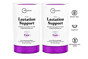 Premama Vitamin D Milk Thistle Lactation Supplement for Increased Breast Milk - Postnatal Vitamins Breastfeeding Supplement with Miracle Berry, Folic Acid, Breastfeeding Calcium Supplement (2 Pack)