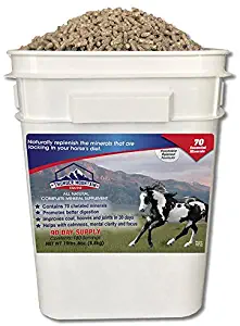 Thunder Mountain Equine-90day 70 essential minerals for horses! Minerals and nutrition, horses crave."Thunder Mountain Miracles!" Help dry cracked hooves, founder/laminitis, good health & much more