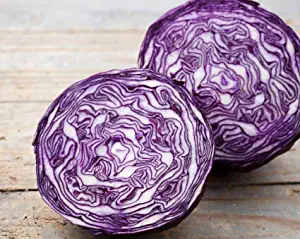 Seeds Cabbage Seeds Mammoth Red Rock Get 300 Fresh Seeds Easy Grow #OHS01YN