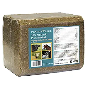 Ridley All Stock Block, 33 lb