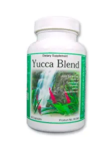 Yucca Root Extract, Yucca Blend, Amazing Natural Chelated, Kidney Cleanse, Liver Cleanse, and Detox Supplement with MSM, Aloe Vera Extract, and Homeopathic Cell Salts 90ct