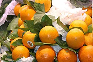 Home Comforts Peel-n-Stick Poster of Vitamins Vegetables Healthy Eating Fruit Oranges Vivid Imagery Poster 24 x 16 Adhesive Sticker Poster Print