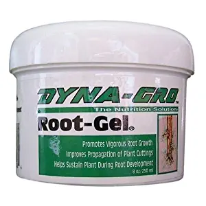 Dyna-Gro RTG-008 DYRTG008 8-Ounce Water Soluble Root Gel, 8 Ounce