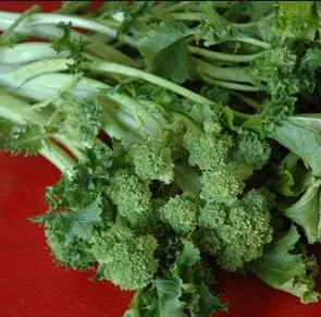 Seeds Broccoli Raab Spring Rapini Rabe Asparago Get 2000 Fresh Seeds Easy Grown Seeds #CZM01YN