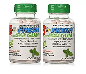 B Fresh Spearmint, Xylitol Gum, Natural Gum, Vegan, B12, No Sugar, 100 Sugar Free Pieces per Pack-(2-Pack-200 Pieces total)