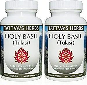 Tattva’s Herbs Holy Basil, for Stress Reduction, Improved Cognition and Immunity, Healthy Skin, Acne and Premature Aging, Rich in Vitamin K 500 mg. 240 Vcaps (2 Pack - 120 Each)