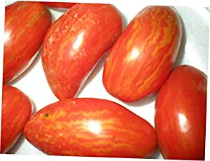 HNM 20 Seeds Cassidy's Folly Tomato Seeds - LY1010