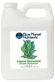 Blue Planet Nutrients Liquid Seaweed Quart (32 oz) | Liquid Kelp Supplement | Hydroponic Aeroponic Soil Coco Coir | for All Plants & Gardens