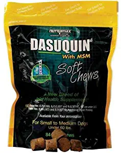 Nutramax Dasuquin with MSM Soft Chews