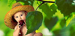 Home Comforts Peel-n-Stick Poster of Child Nutrition Summer Vitamins Fruit Baby Vivid Imagery Poster 24 x 16 Adhesive Sticker Poster Print